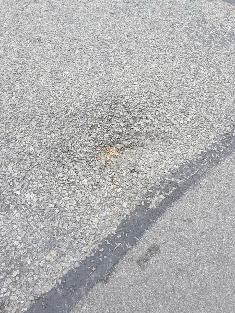 The photograph attached to this roading/streets report
