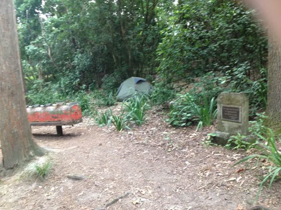 The photograph attached to this parks report