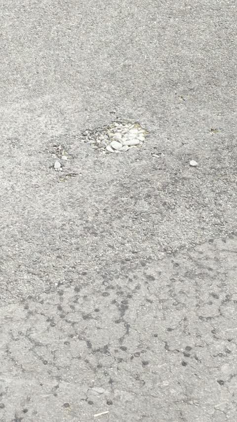 Roading/Streets, a report photo