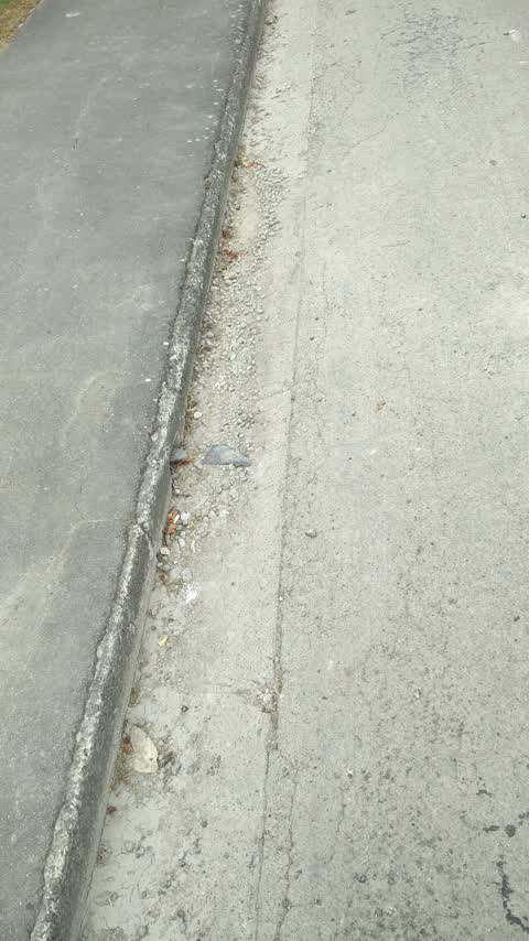 Roading/Streets, a report photo