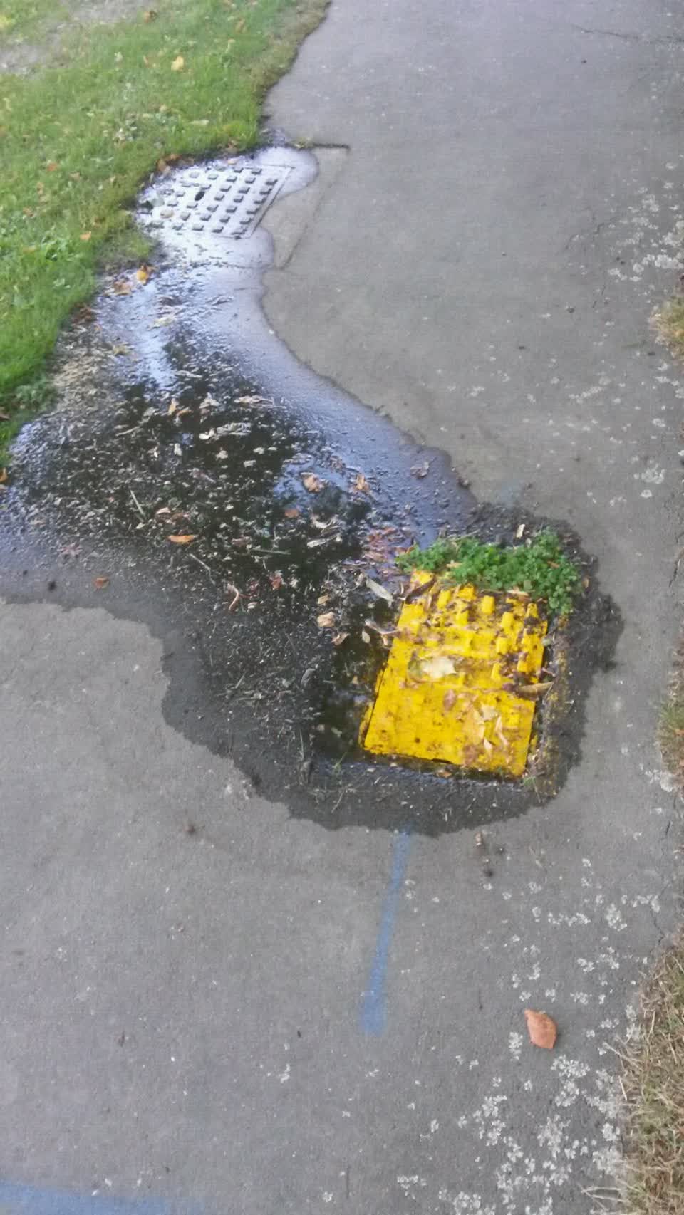 The photograph attached to this water supply report