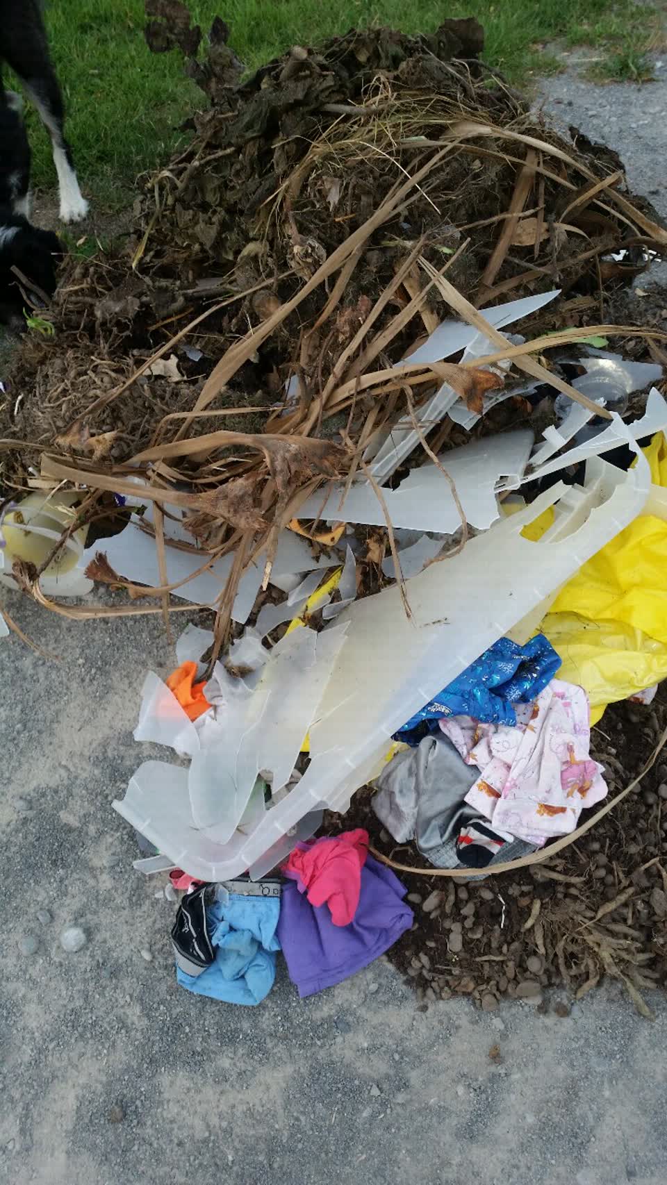 The photograph attached to this rubbish/recycling report