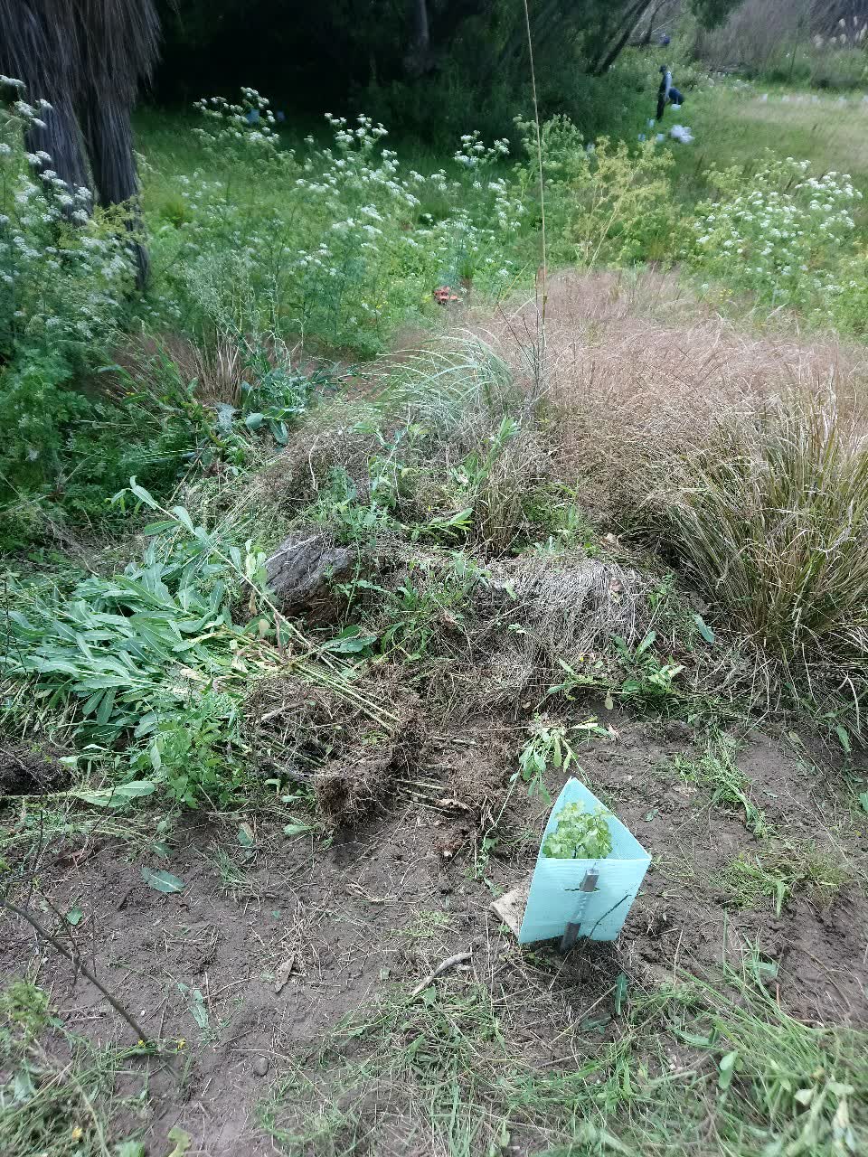 The photograph attached to this parks report