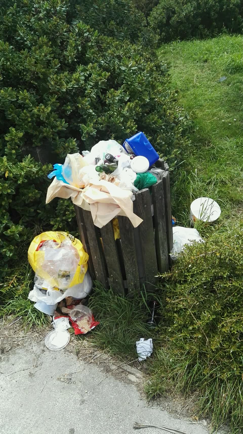 The photograph attached to this rubbish/recycling report