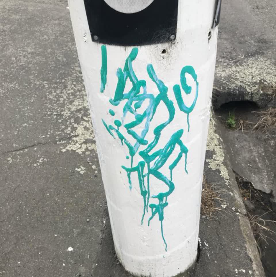 The photograph attached to this graffiti report