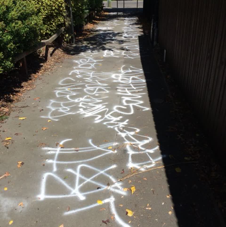 The photograph attached to this graffiti report