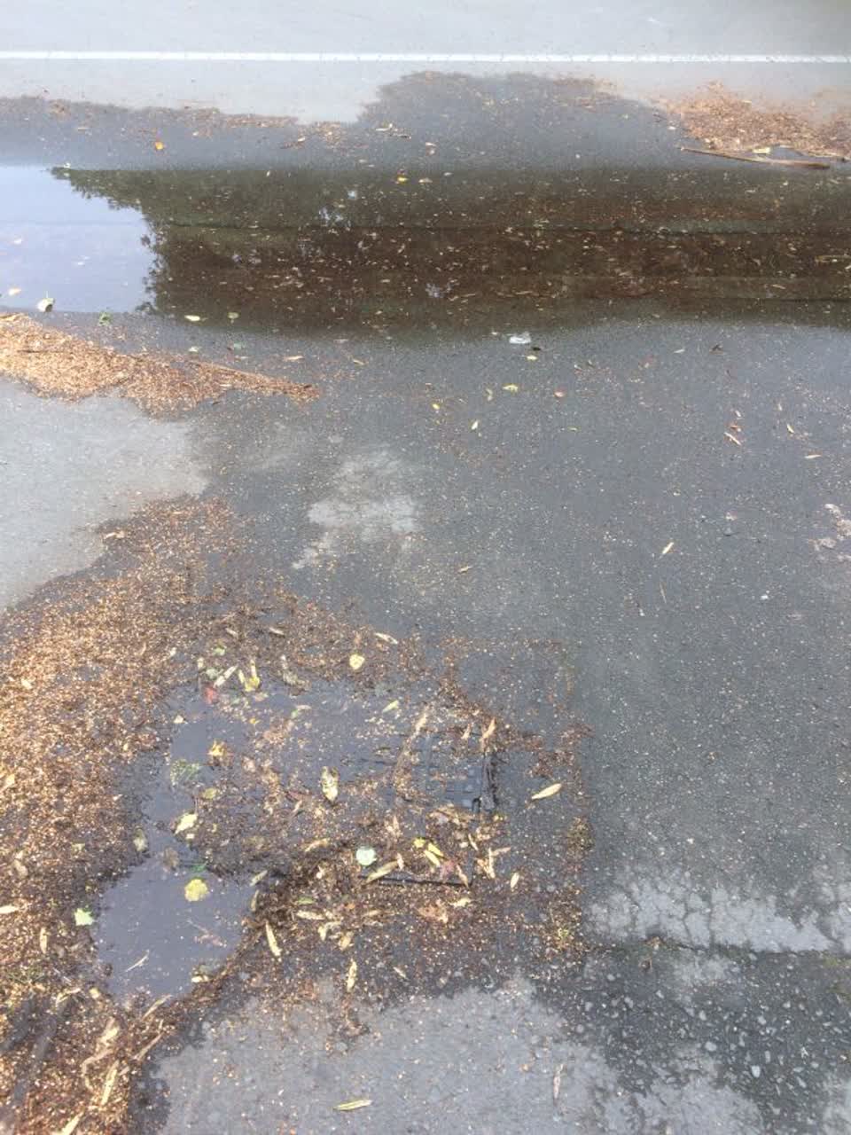 The photograph attached to this wastewater/stormwater report
