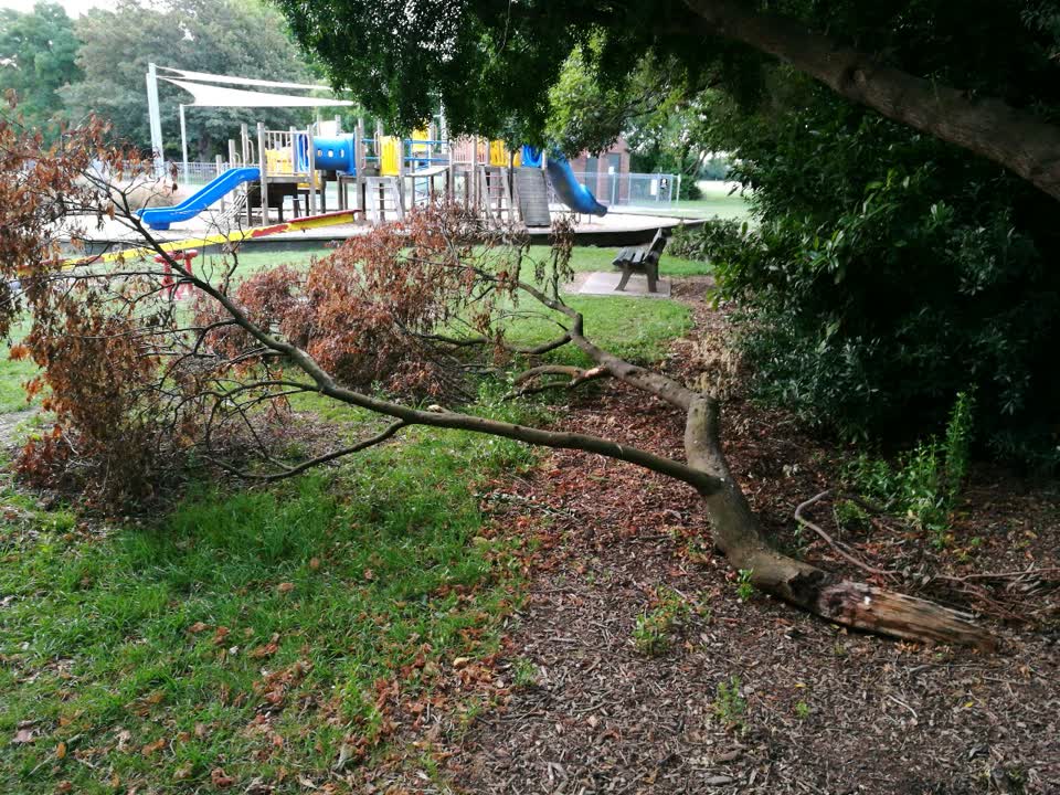 The photograph attached to this parks report