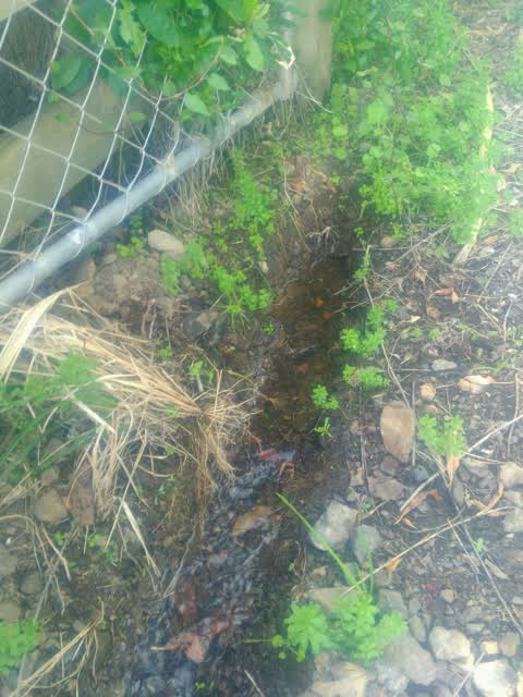Water Supply, a report photo