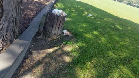 Rubbish/Recycling, a report photo
