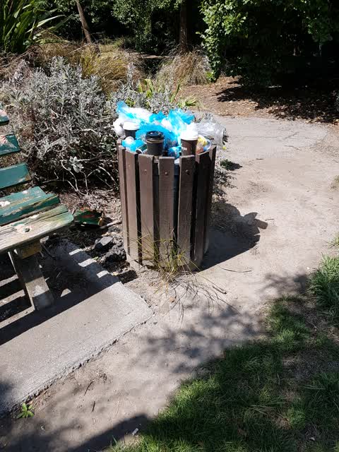 Rubbish/Recycling — a report photo