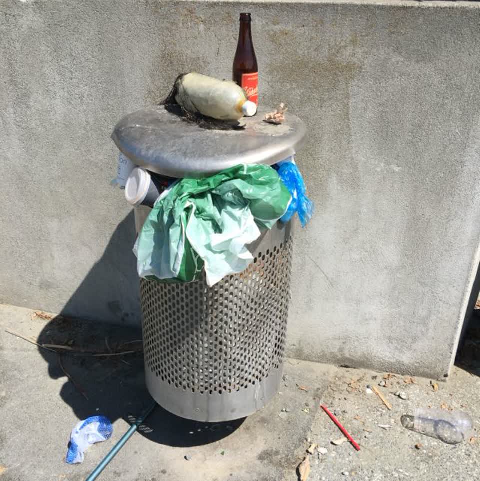 The photograph attached to this rubbish/recycling report