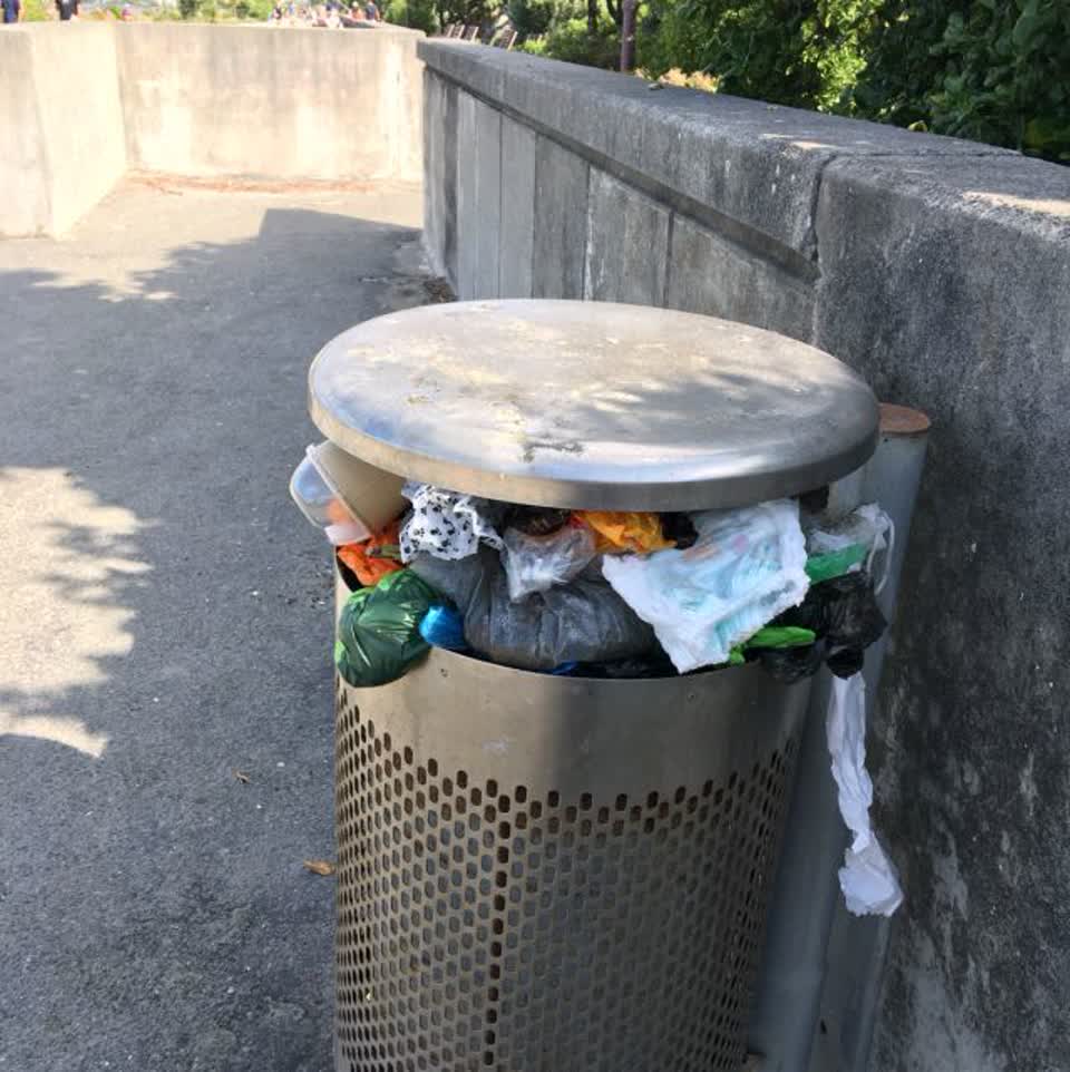 The photograph attached to this rubbish/recycling report