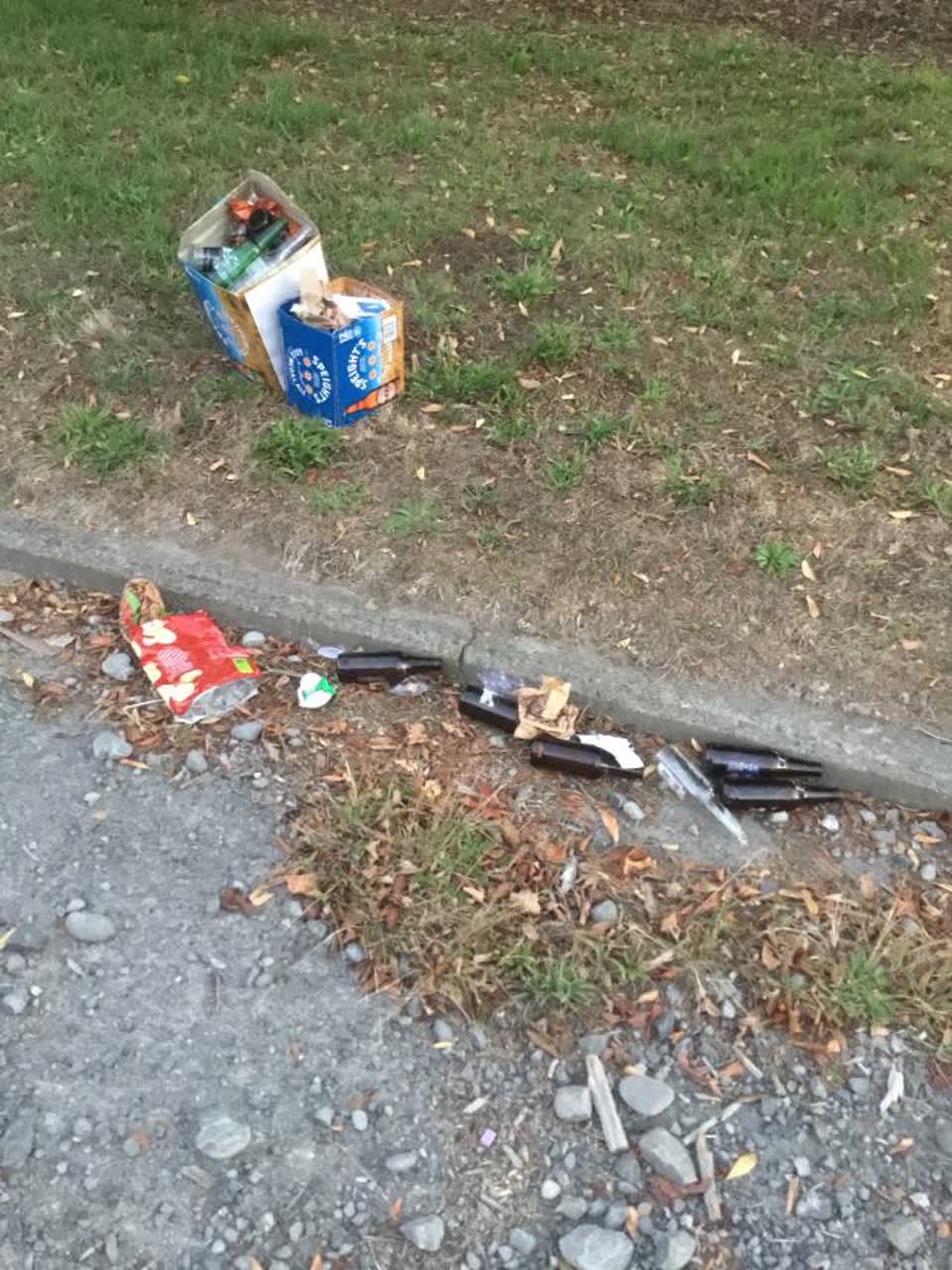 The photograph attached to this rubbish/recycling report