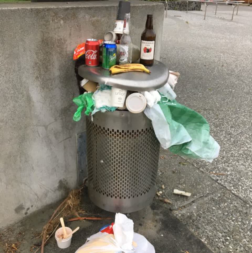 The photograph attached to this rubbish/recycling report
