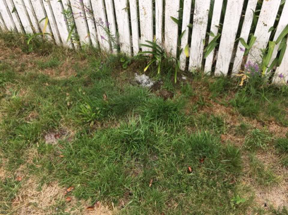 The photograph attached to this water supply report