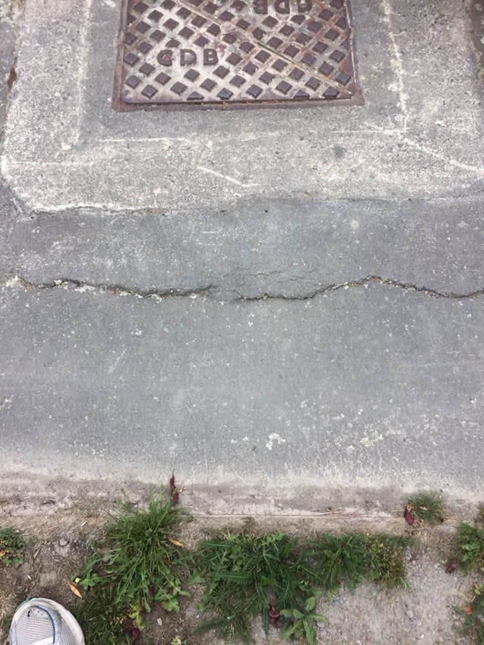 The photograph attached to this roading/streets report