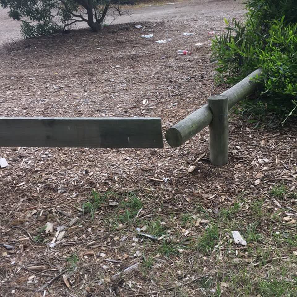 The photograph attached to this parks report
