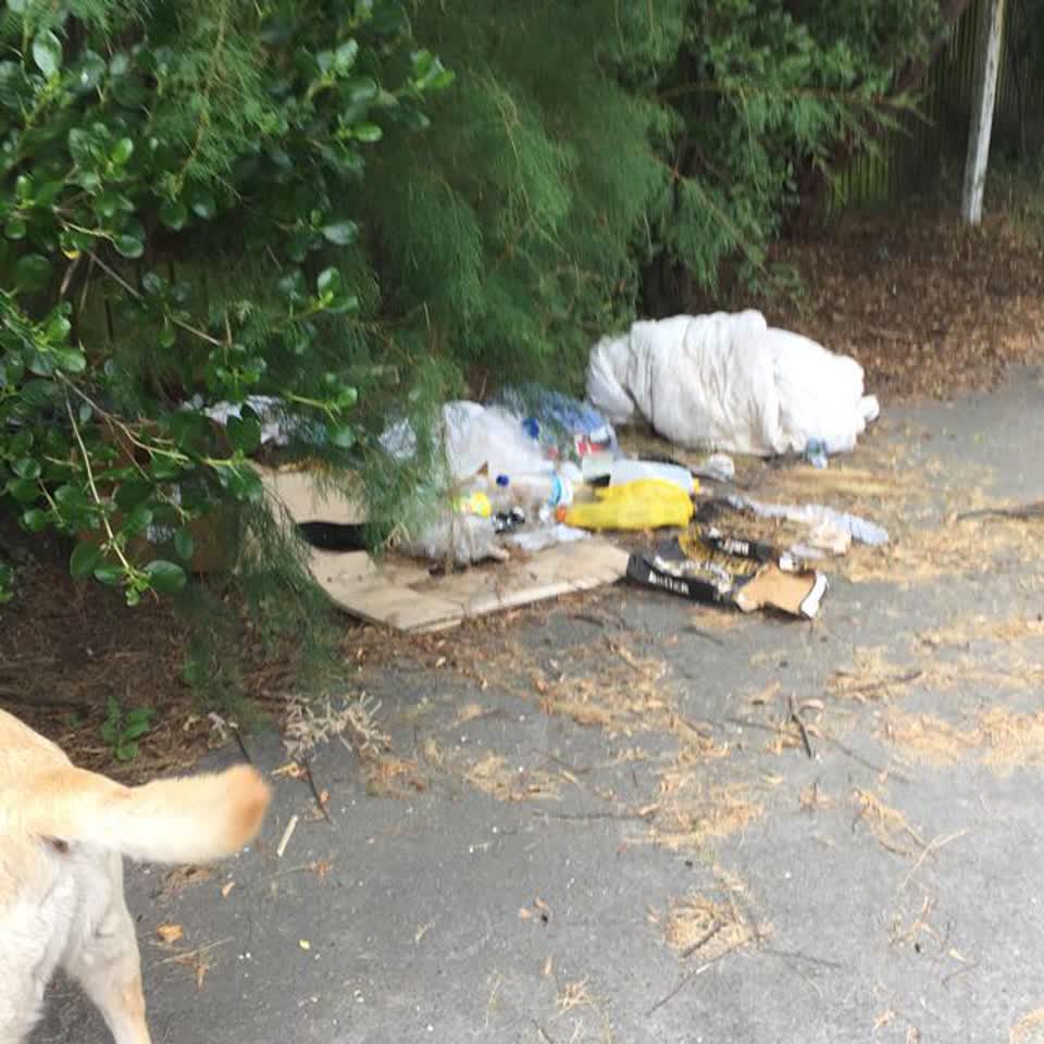 The photograph attached to this rubbish/recycling report