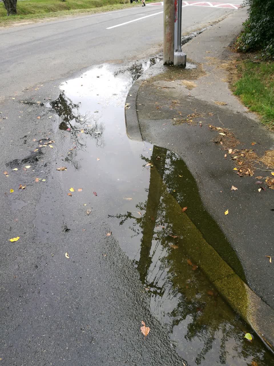The photograph attached to this water supply report