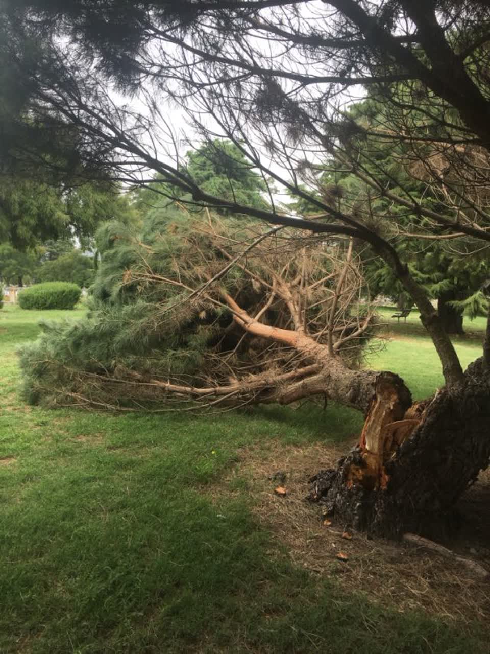 The photograph attached to this parks report