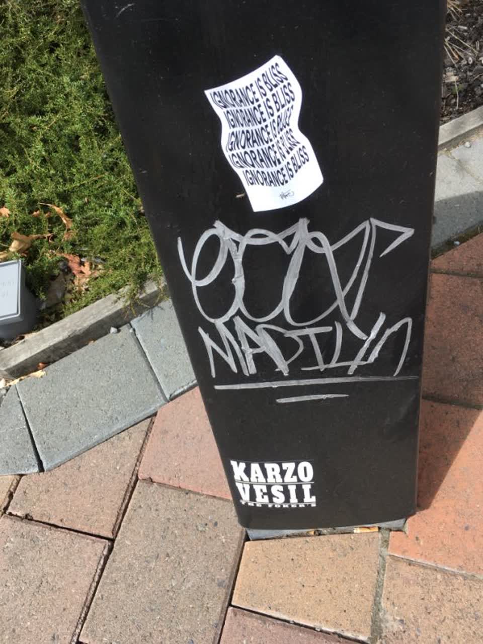 The photograph attached to this graffiti report