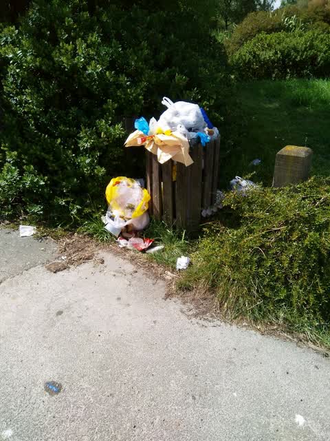 Rubbish/Recycling, a report photo