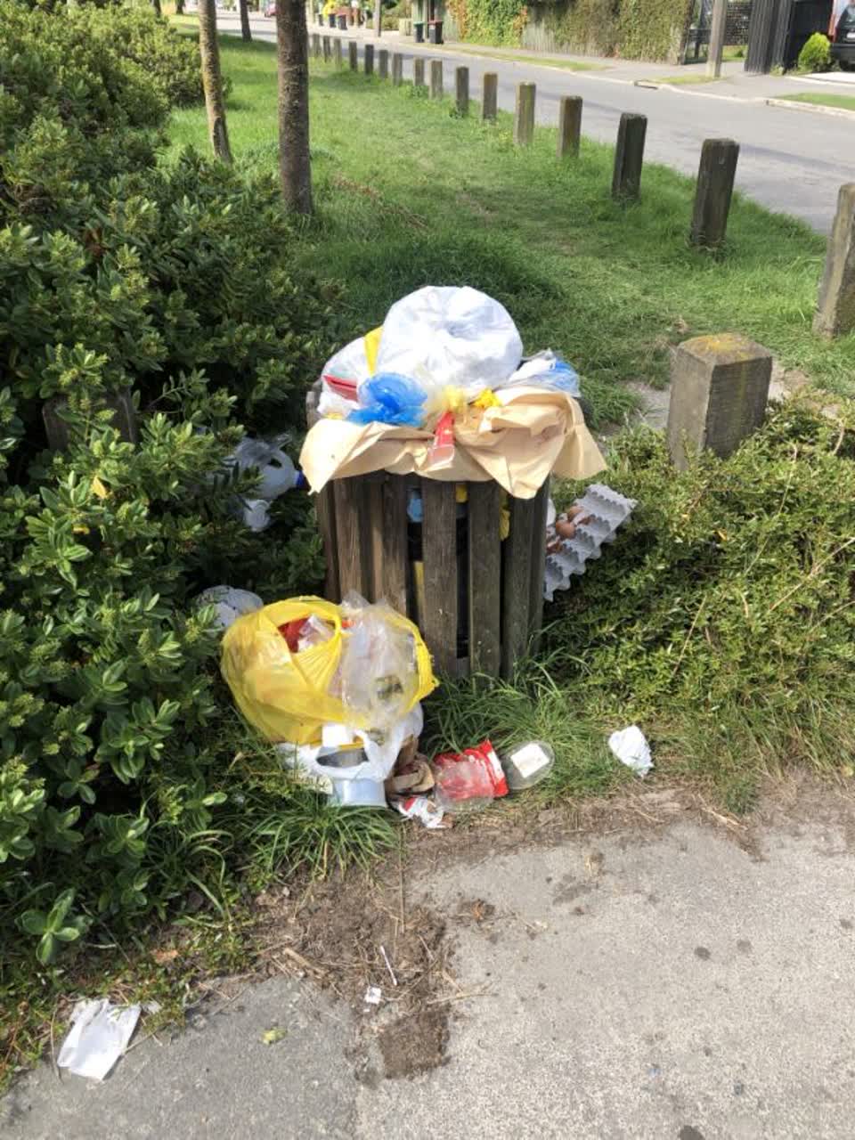 The photograph attached to this rubbish/recycling report