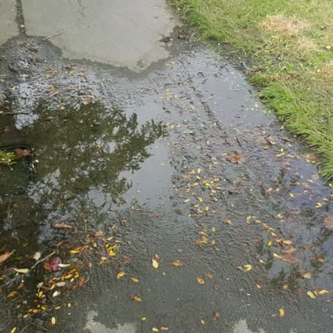 Water Supply, a report photo