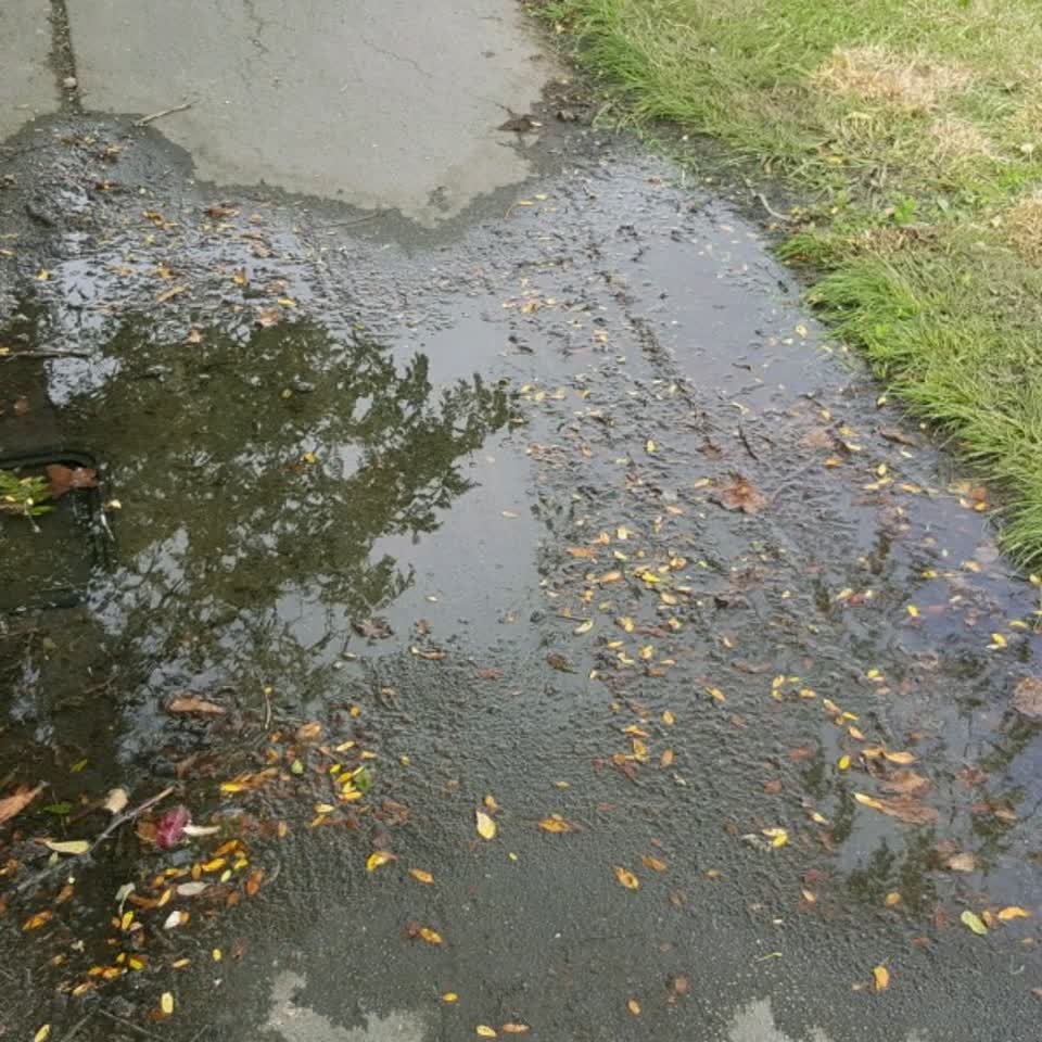 The photograph attached to this water supply report