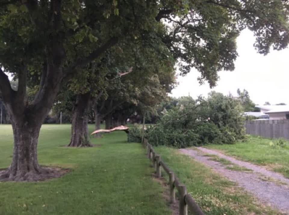 The photograph attached to this parks report