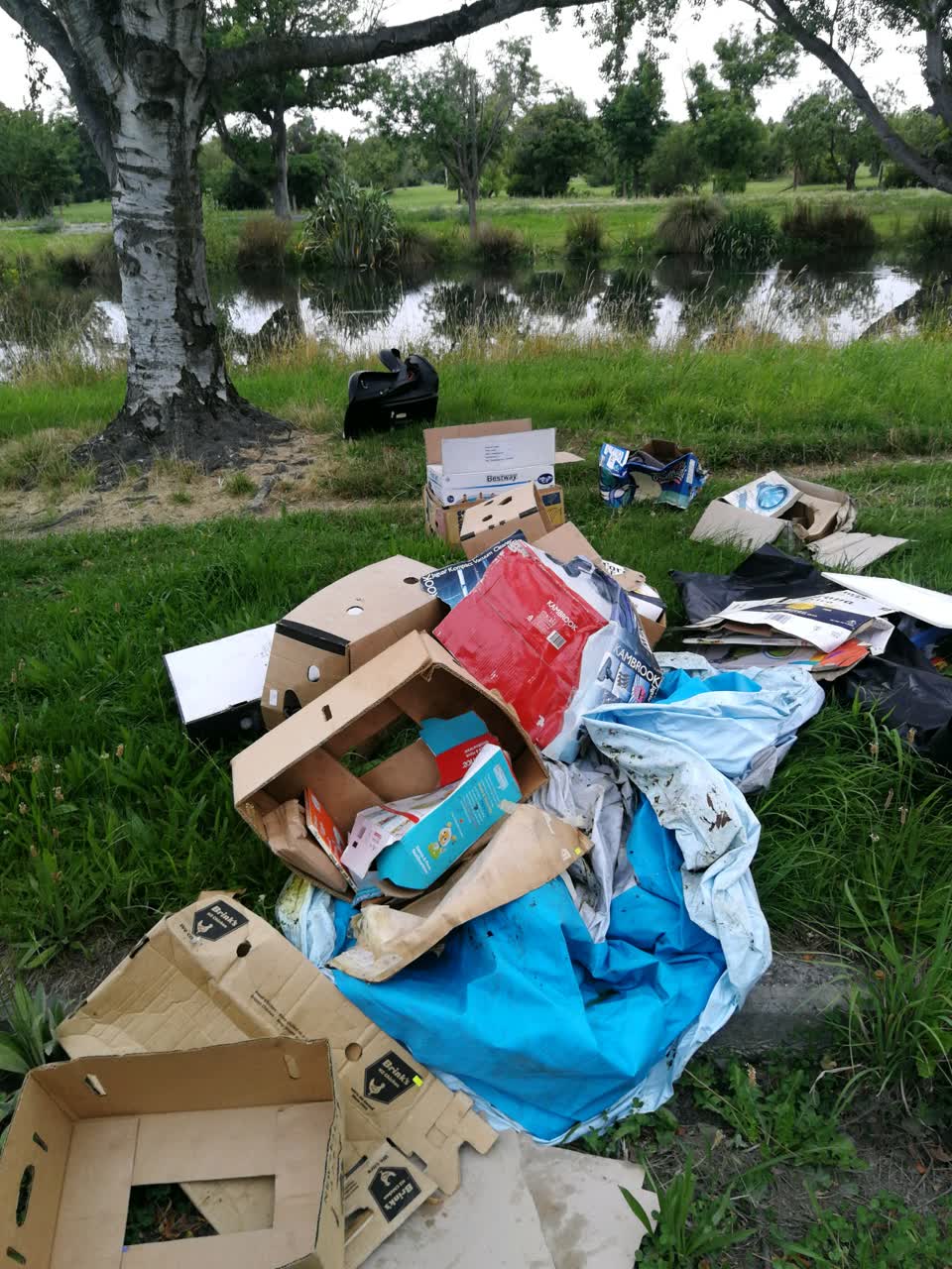 The photograph attached to this rubbish/recycling report
