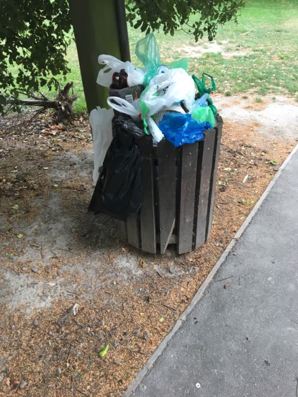 The photograph attached to this parks report