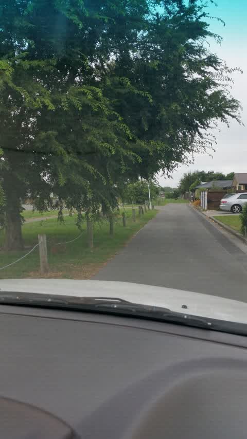Parks, a report photo
