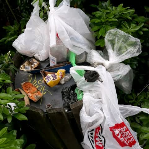 Rubbish/Recycling — a report photo