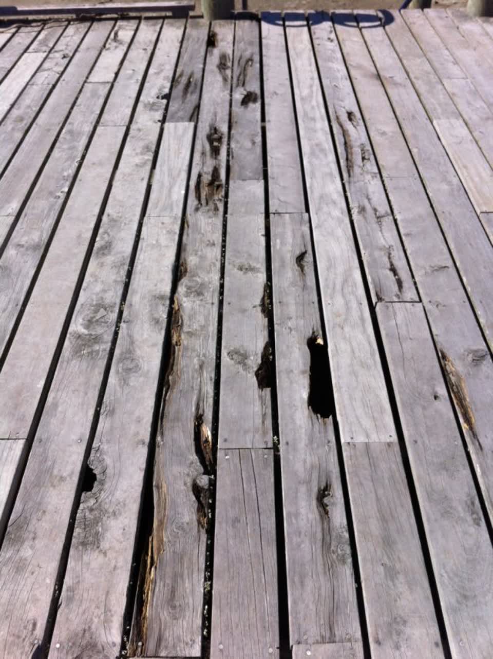 The photograph attached to this parks report