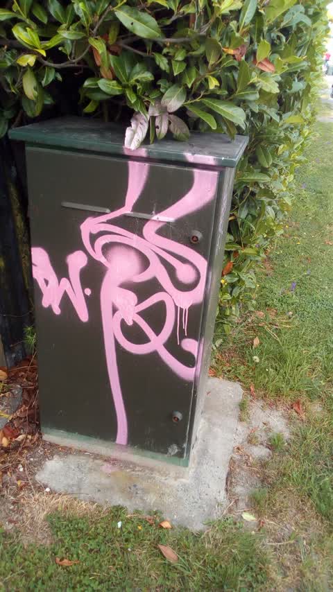 Graffiti, a report photo