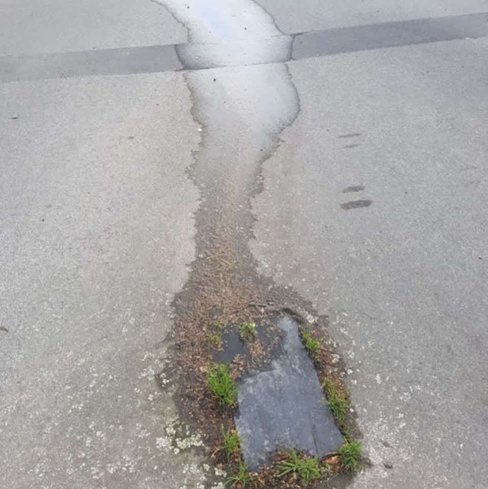 The photograph attached to this water supply report