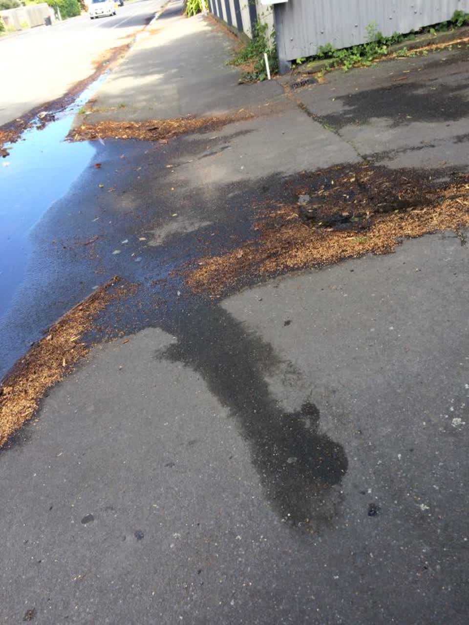 The photograph attached to this water supply report