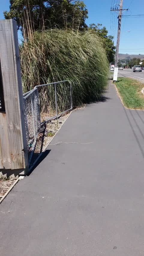 Roading/Streets, a report photo