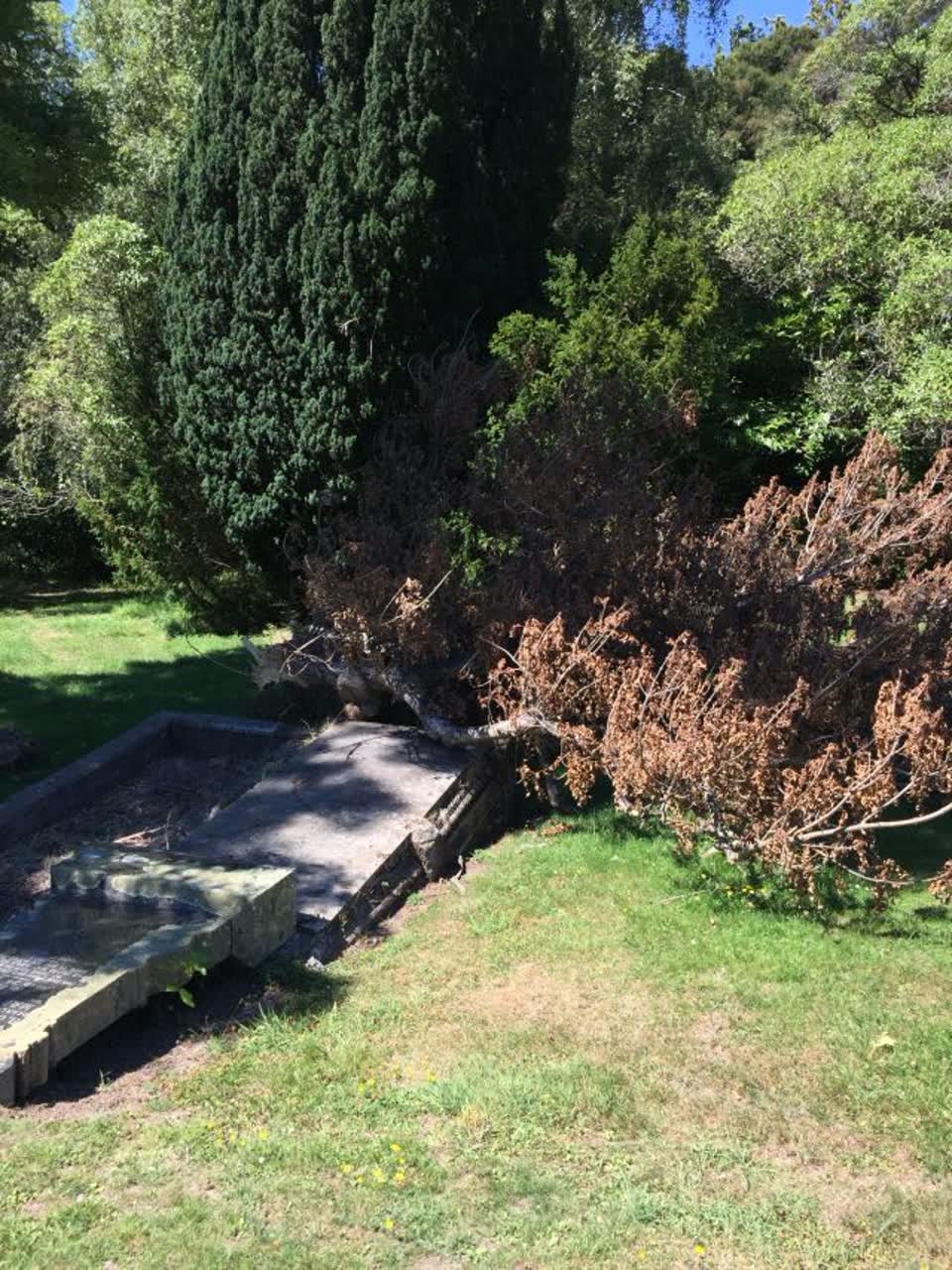 The photograph attached to this parks report