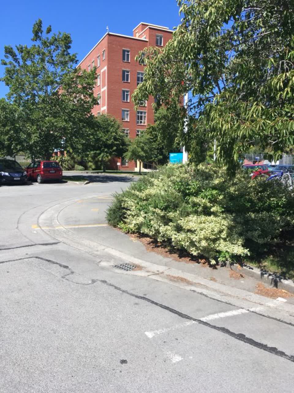 The photograph attached to this parks report