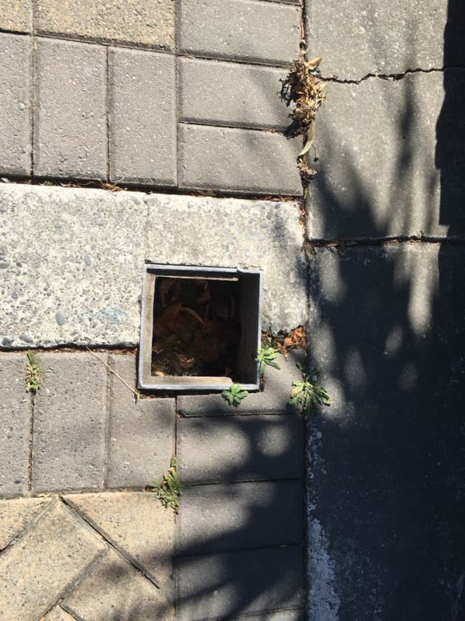 The photograph attached to this water supply report