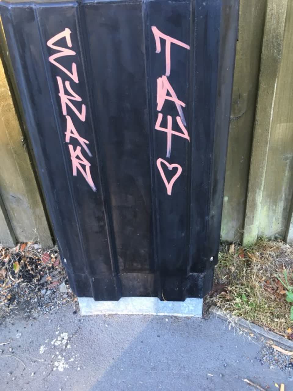 The photograph attached to this graffiti report