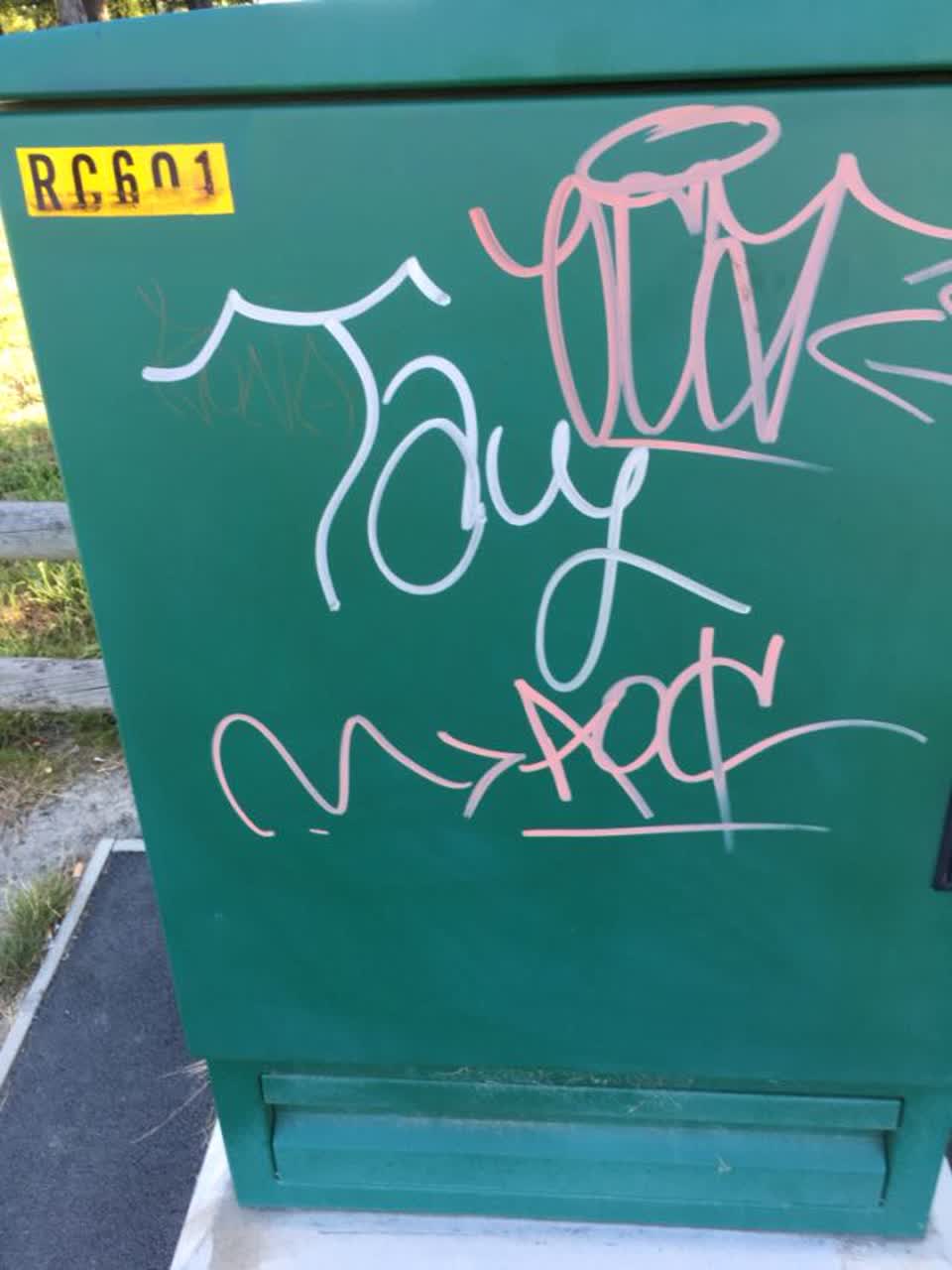 The photograph attached to this graffiti report