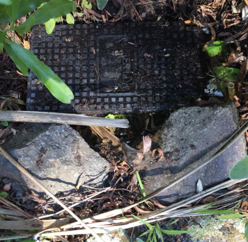 The photograph attached to this water supply report