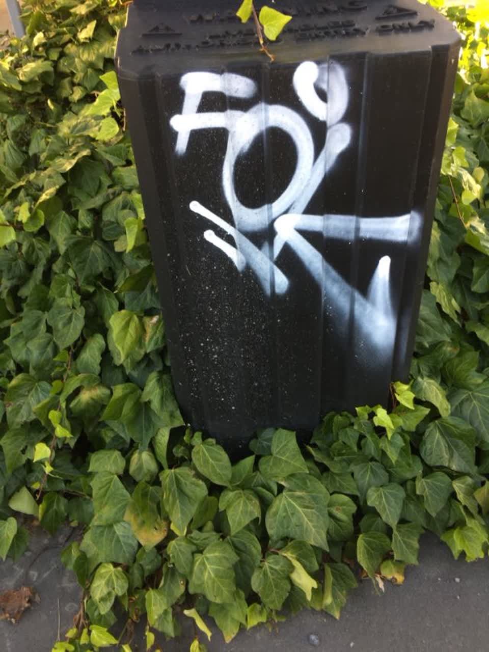 The photograph attached to this graffiti report
