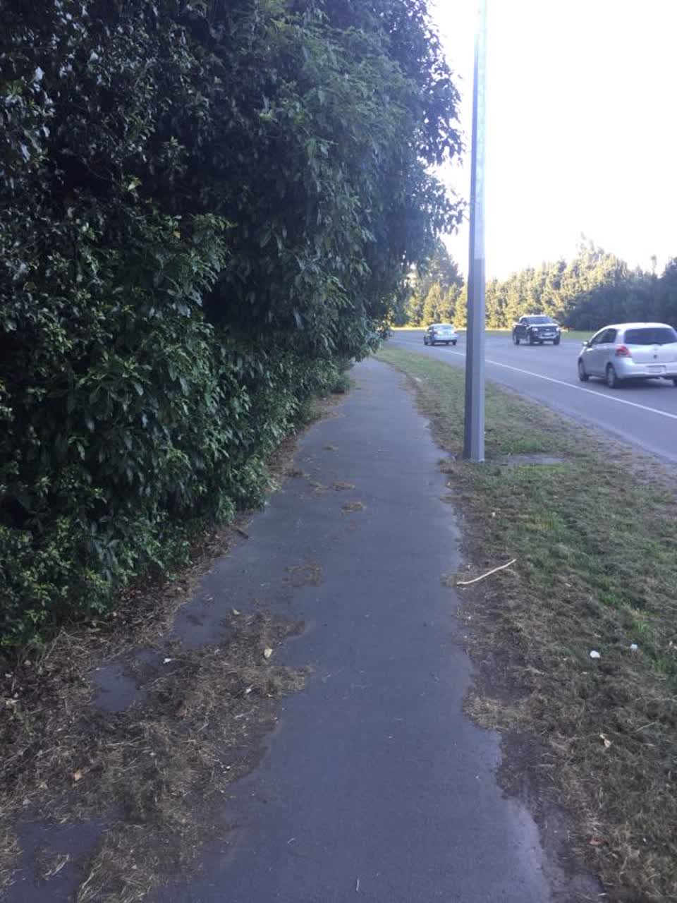 The photograph attached to this parks report