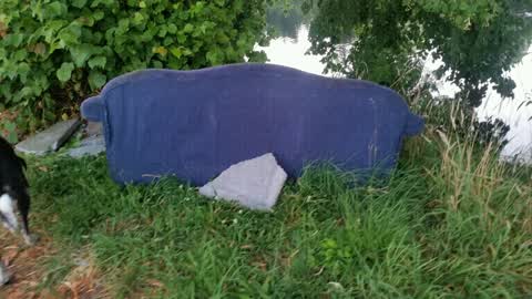 Rubbish/Recycling, a report photo