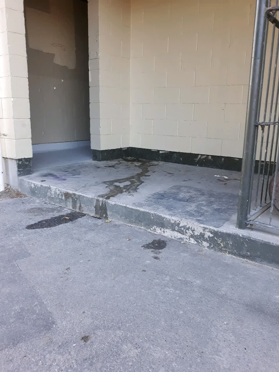 The photograph attached to this parks report